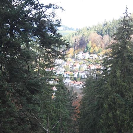 Relaxapartments Black Forest Diamond Direkt An Der Hornberger Freilichtbuehne - Sonnenterrasse Mit Blick Auf Das Hornberger Schloss, Schnelles Internet, Fuer Bis Zu 2 Personen Exterior photo