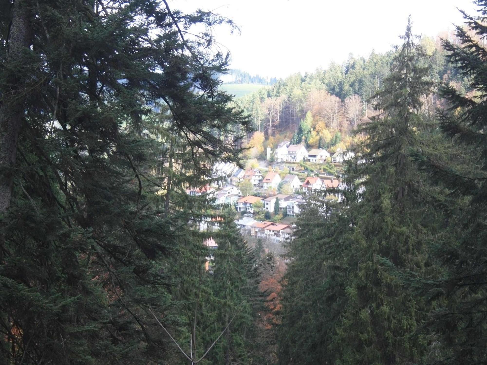 Relaxapartments Black Forest Diamond Direkt An Der Hornberger Freilichtbuehne - Sonnenterrasse Mit Blick Auf Das Hornberger Schloss, Schnelles Internet, Fuer Bis Zu 2 Personen Exterior photo