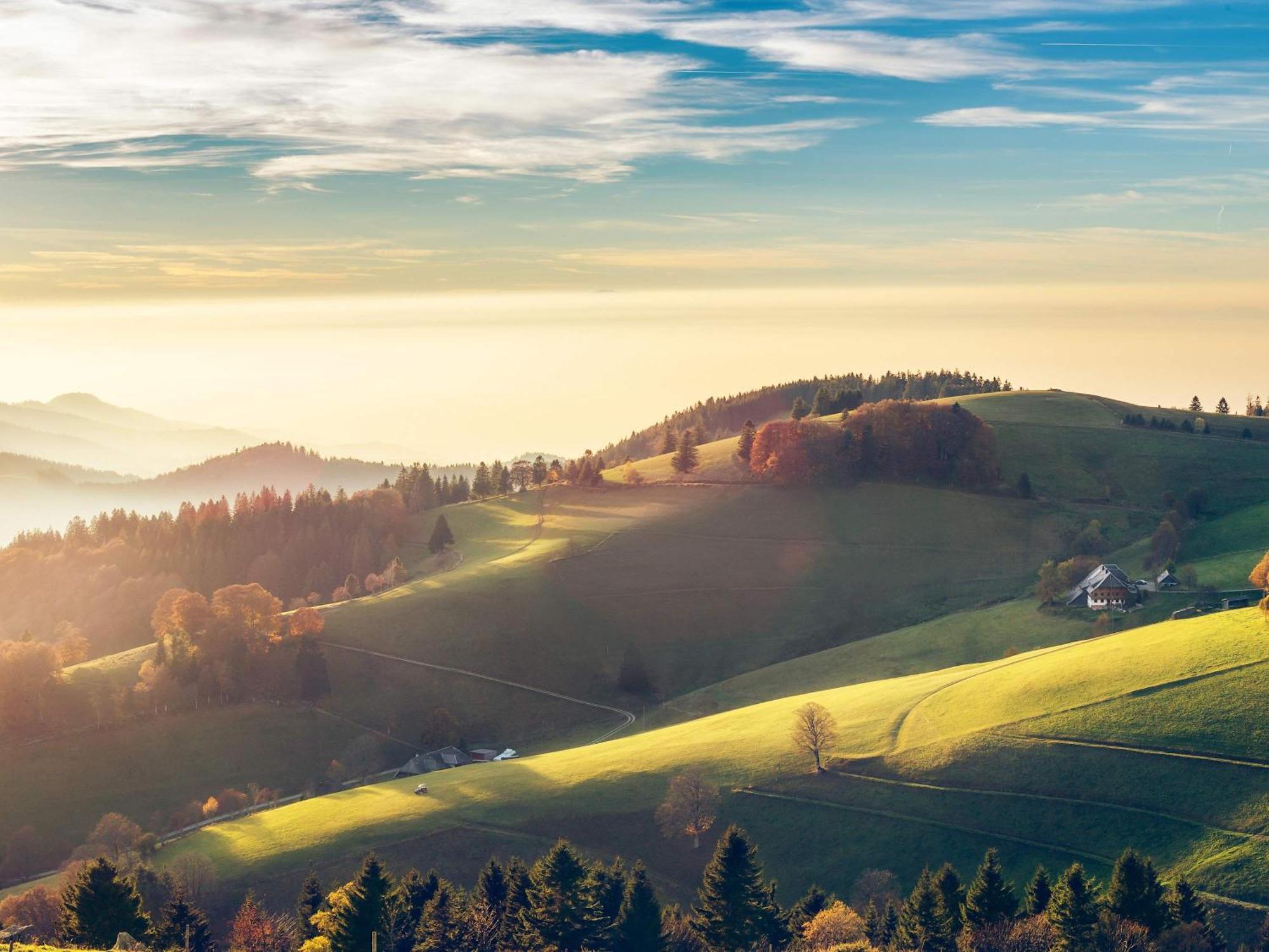 Relaxapartments Black Forest Diamond Direkt An Der Hornberger Freilichtbuehne - Sonnenterrasse Mit Blick Auf Das Hornberger Schloss, Schnelles Internet, Fuer Bis Zu 2 Personen Exterior photo