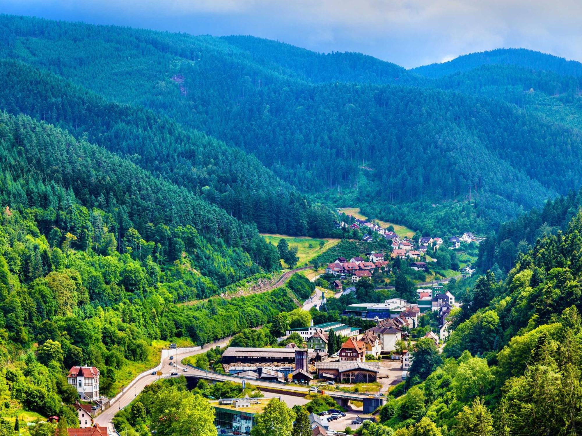 Relaxapartments Black Forest Diamond Direkt An Der Hornberger Freilichtbuehne - Sonnenterrasse Mit Blick Auf Das Hornberger Schloss, Schnelles Internet, Fuer Bis Zu 2 Personen Exterior photo