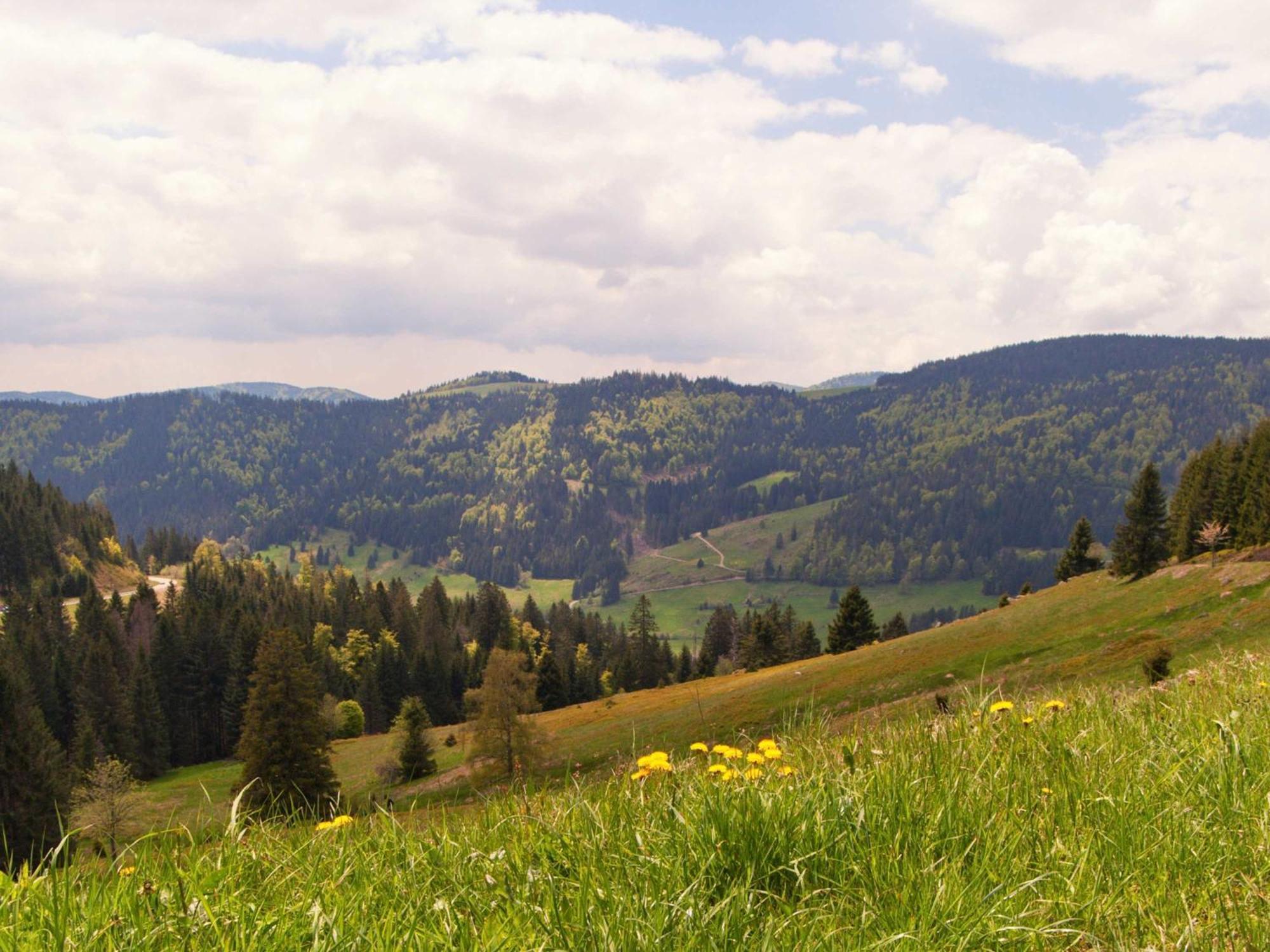 Relaxapartments Black Forest Diamond Direkt An Der Hornberger Freilichtbuehne - Sonnenterrasse Mit Blick Auf Das Hornberger Schloss, Schnelles Internet, Fuer Bis Zu 2 Personen Exterior photo
